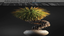 ArchiCG Plants - Bonsai 4 Interior Volume 1-缩略图