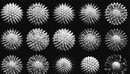 30种C4D头发预设和使用说明 30 Free Hair Presets for C4D-缩略图