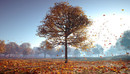 Helloluxx - learn. Cinema 4D Tutorial : Natural Environments from Marijn Raeven-缩略图