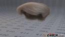 阿诺德渲染器全面教程（附源文件）-缩略图
