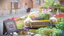 54个C4D景观植物花卉模型合集 Evermotion Archmodels Vol.183-缩略图