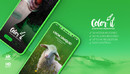 Color it – 3D Smartphone Presentation-缩略图