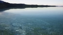 Procedural lake water breakdown 湖水分解-缩略图