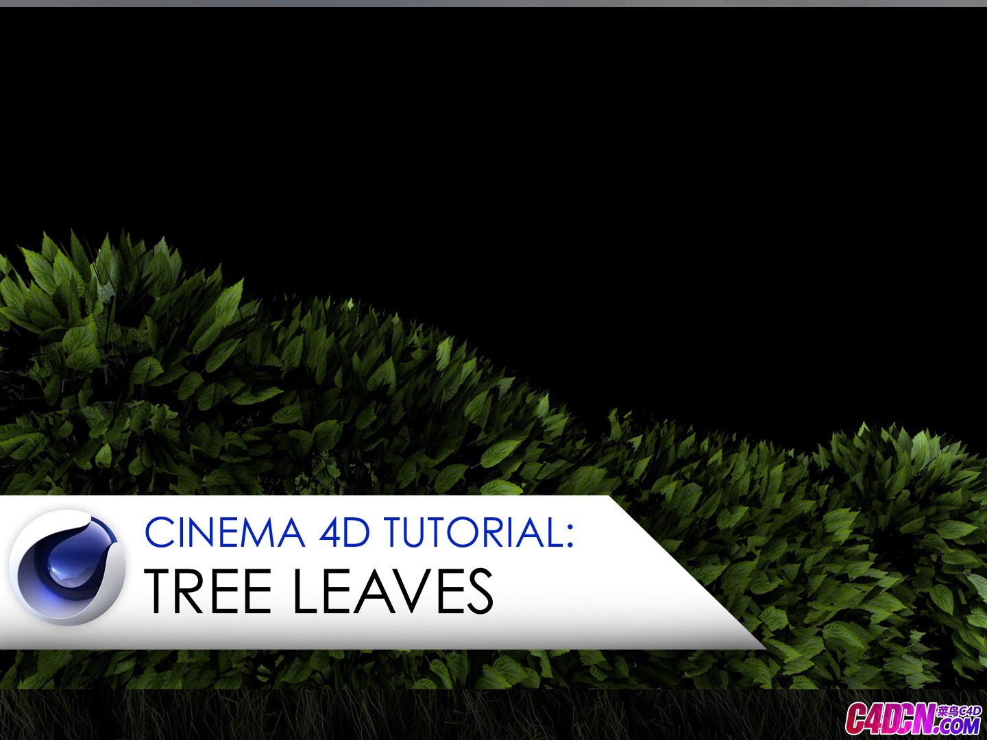 C4D教程 植物树叶子制作教程