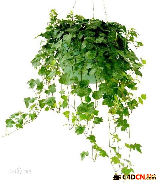 IvyGrower 1.2.1常春藤植物生长插件汉化版