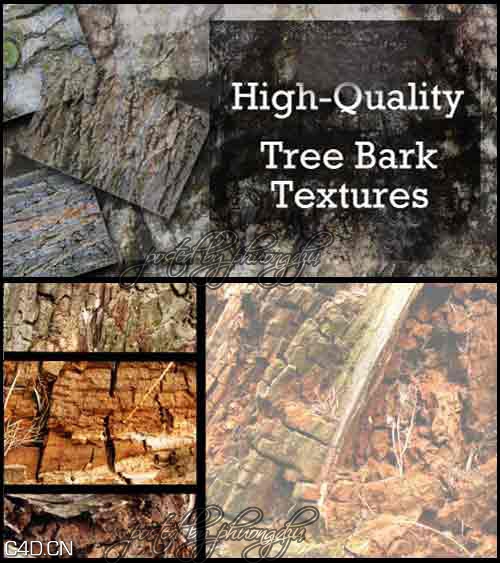 高品质树叶和树皮纹理 HQ Tree & Bark Texture Collection by Cutte