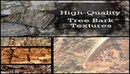 高品质树叶和树皮纹理 HQ Tree & Bark Texture Collection by Cutte-缩略图