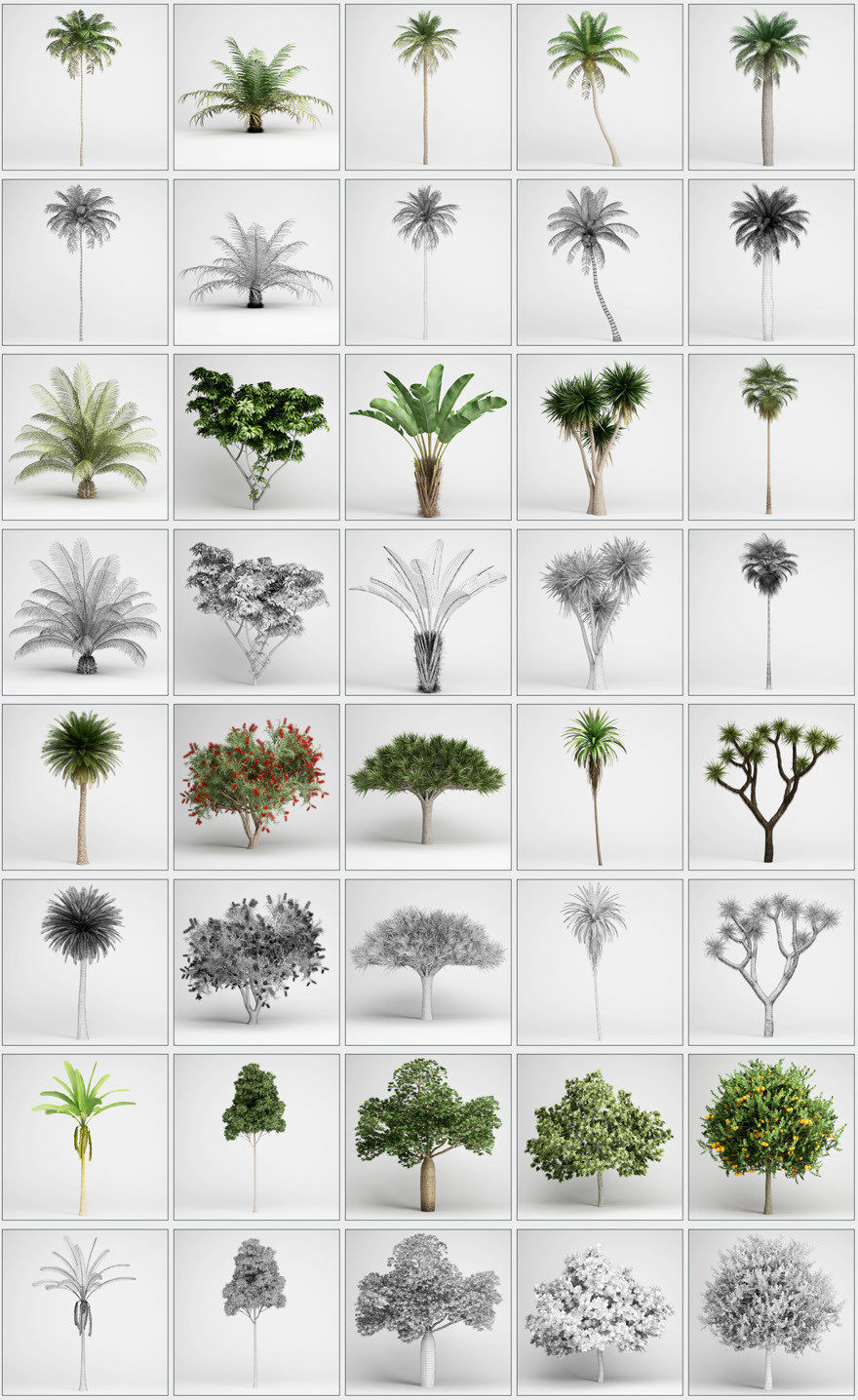 CGAxis Models Volume 15 Exotic Plants