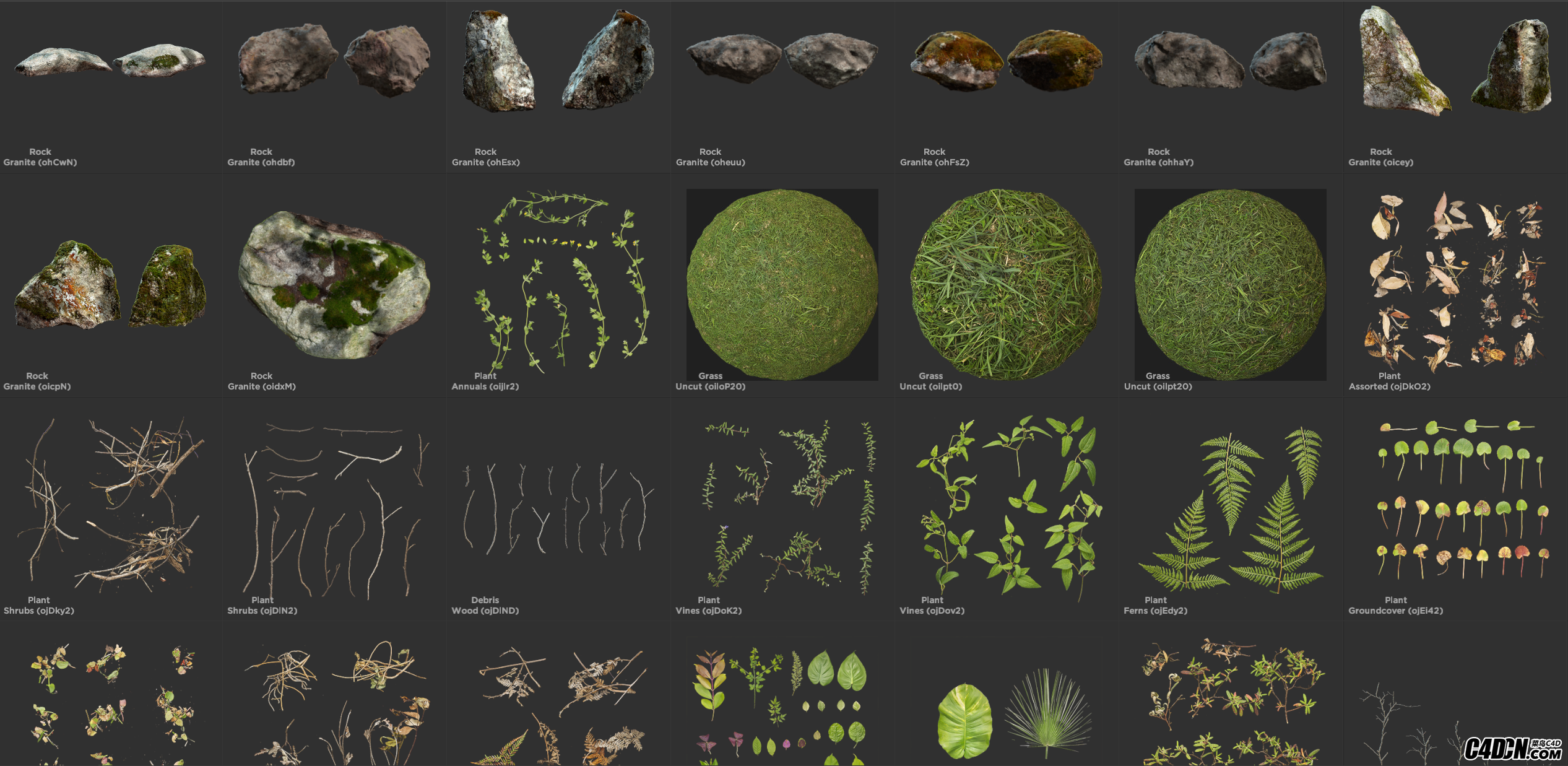 纹理素材 60G实景高精度纹理材质贴图 植物 地面 石头 花草 Megascans Library