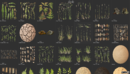 纹理素材 60G实景高精度纹理材质贴图 植物 地面 石头 花草 Megascans Library-缩略图