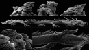 中国古代建筑人物服饰龙狮蛤蟆游戏3D模型(OBJ/ZBP/ZTL格式)-缩略图