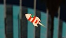 卡通小火箭C4D模型Rocket 3d model-缩略图