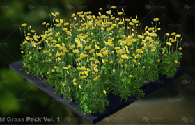 Field Grass Package Vol. 1