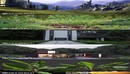 Graswald for Blender-缩略图