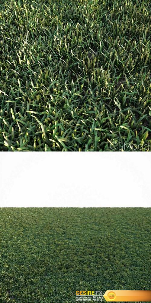 Simple Grass 草地模型