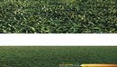 Simple Grass 草地模型-缩略图