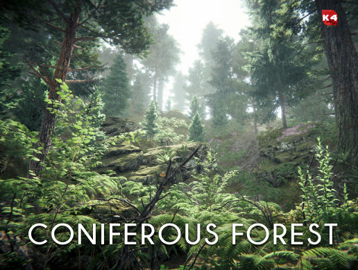 Coniferous forest