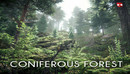 Coniferous forest-缩略图