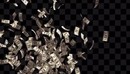 Raining Money Pack - Motion Graphics 129091-缩略图