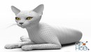 Fluffy cat model猫咪模型-缩略图