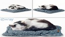 Sleeping fluffy cat-缩略图