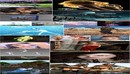 Daz3D – Bundle #334-缩略图