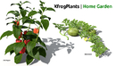 XfrogPlants - Home Garden-缩略图