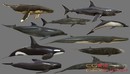 CGTrader - Big Fish Collection Low poly - Animated Low-poly 3D model-缩略图