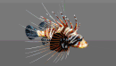 Low poly Fish Collection Animated Pack 2-4-缩略图
