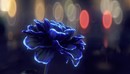 C4D创建一个紫色花卉生长无限开放的动画教程-缩略图