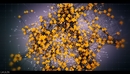C4D粒子插件修复版：X-Particles 2.1 汉化BUG修复版（win/c4d r16-r17）-缩略图
