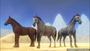 Unity 3D骑马模型资源Horse Animset Pro-缩略图