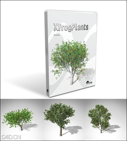 20种果树3D模型 XfrogPlants – FRUIT TREES