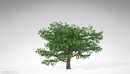 20种果树3D模型 XfrogPlants – FRUIT TREES-缩略图
