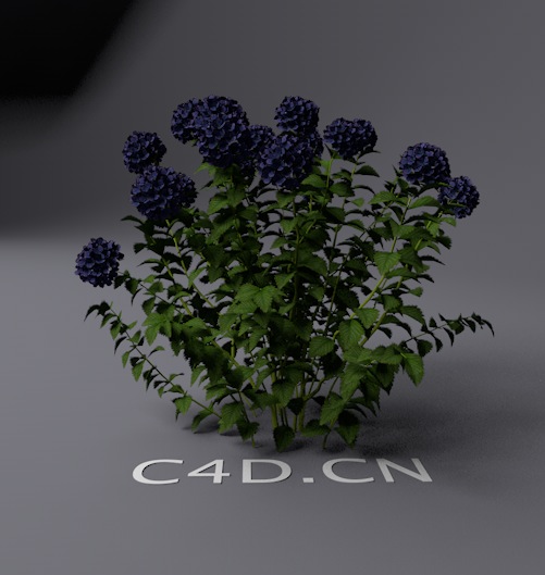 景观花草模型：蓝色花C4D模型 Landscape plants model