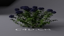 景观花草模型：蓝色花C4D模型 Landscape plants model-缩略图
