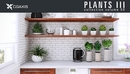 CGAxis Vol 50 Plants-缩略图